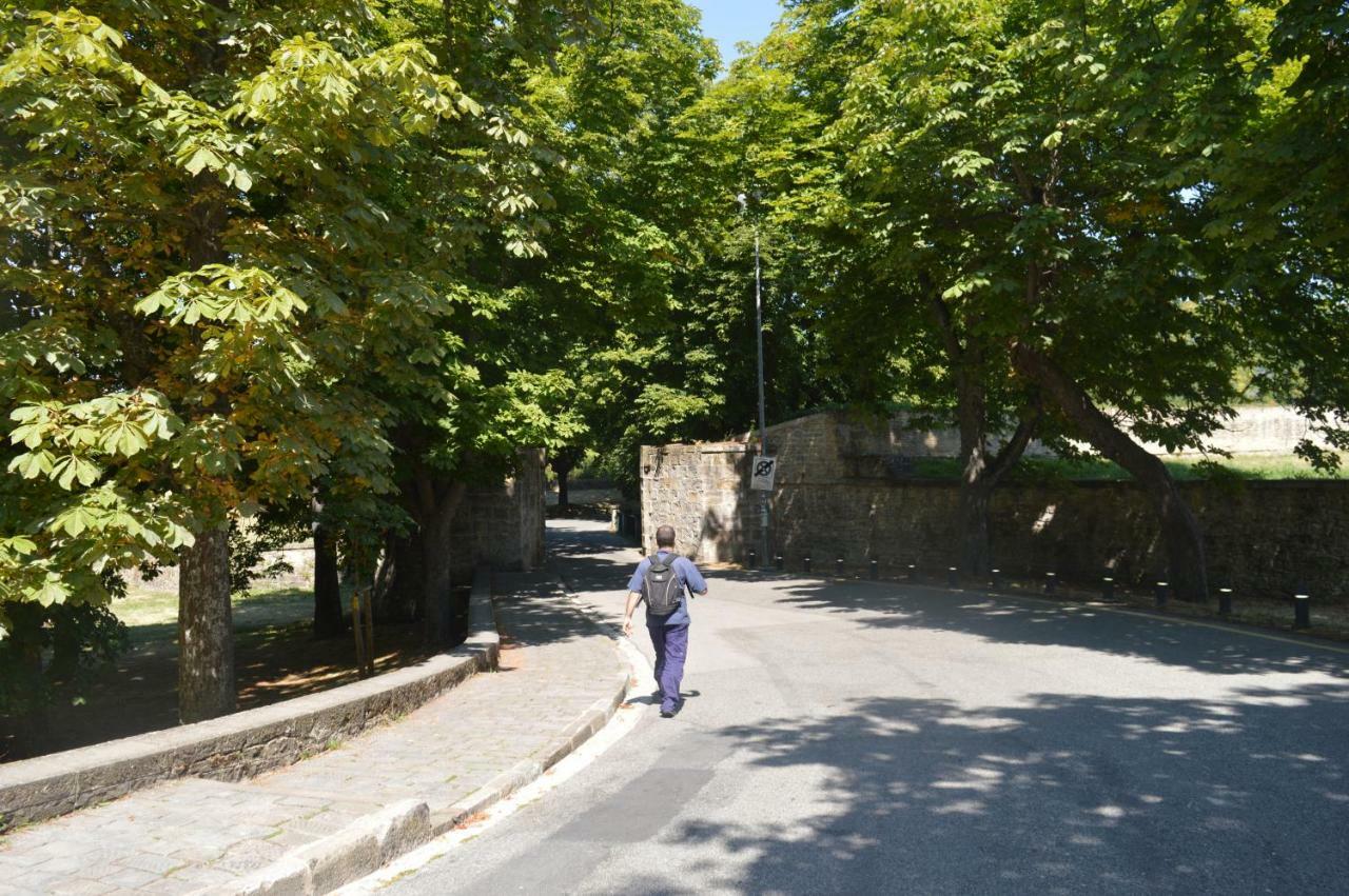 Trampantojo Apartamento En El Corazon De Pamplona 아파트 외부 사진